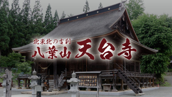 第20回天台寺あじさい祭りのお知らせ